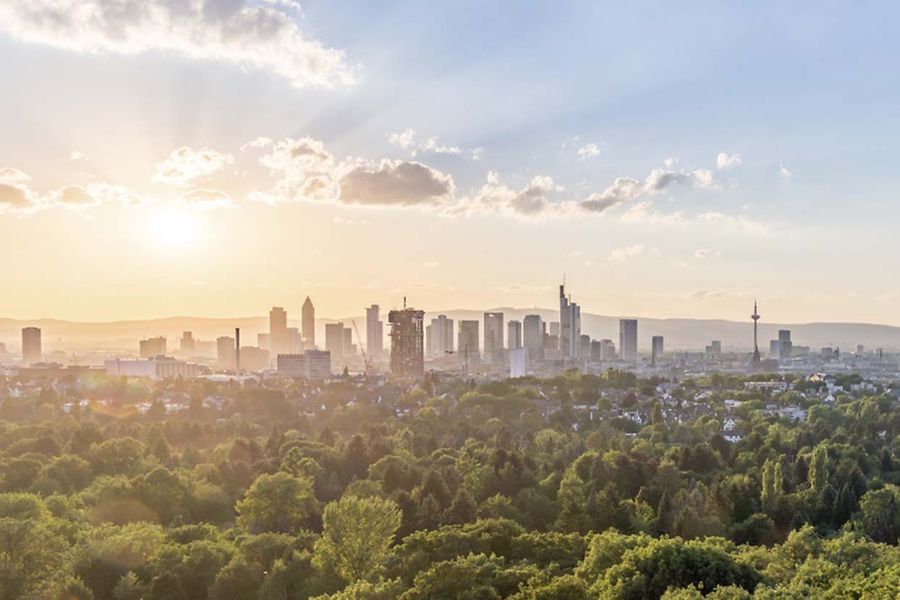 IHK24_Immobilienseite