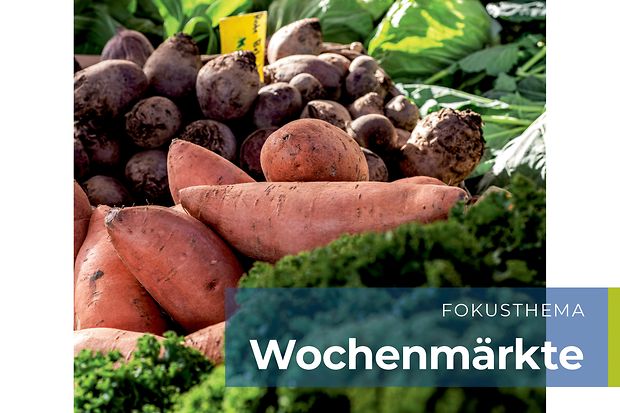 Titel_WiFo_2-25-25-Web (nicht barrierefrei, PDF-Datei)