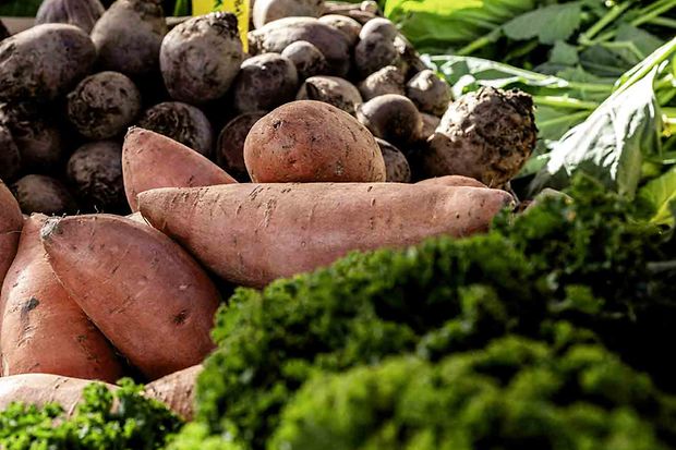 Schmuckbild für das WiFo (nicht barrierefrei, PDF-Datei)